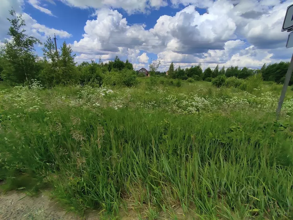 Участок в Новгородская область, Новгородский район, Ракомское с/пос, ... - Фото 1