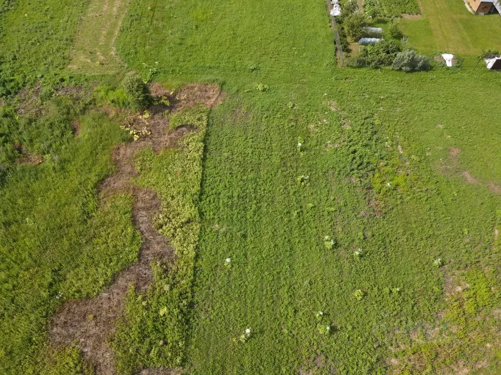 Участок в Московская область, Лотошино муниципальный округ, пос. ... - Фото 1