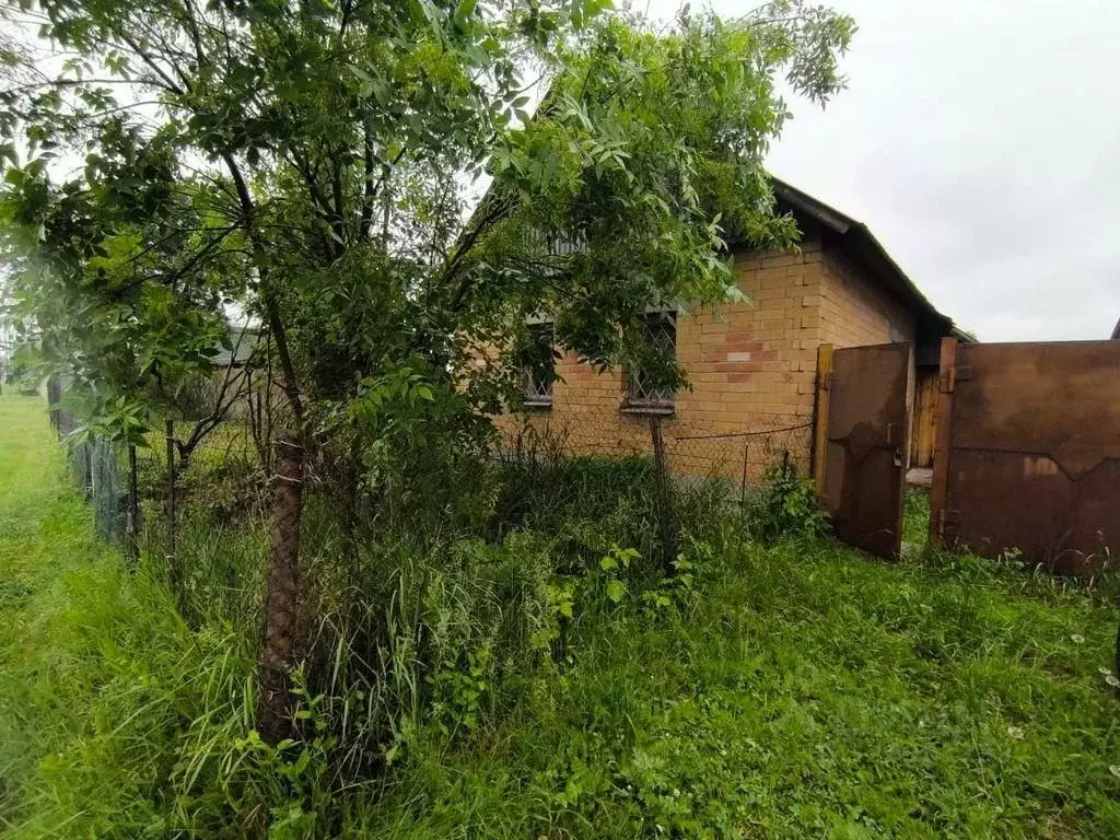 Дом в Челябинская область, Аргаяшский муниципальный округ, с. ... - Фото 2