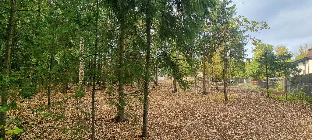 Продается участок в д. Сазонки - Фото 1