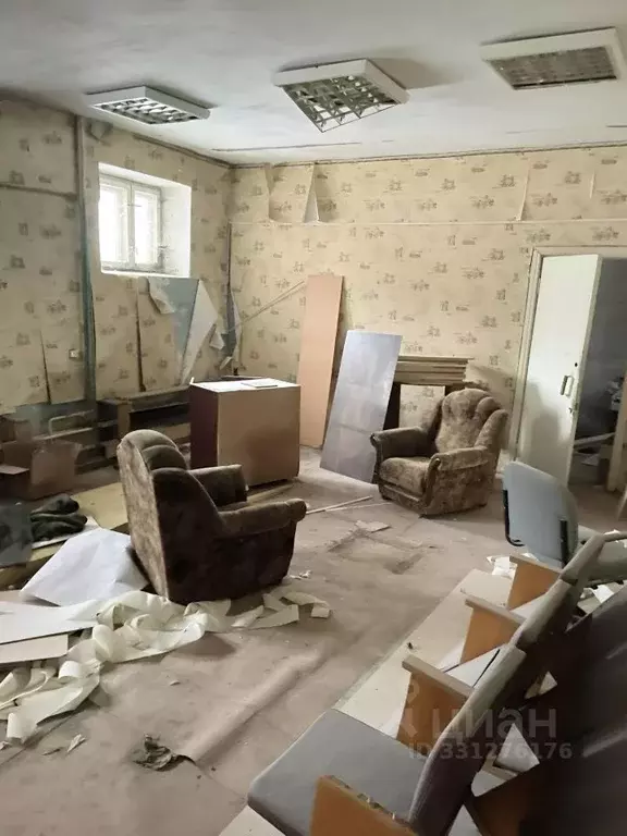 Помещение свободного назначения в Коми, Сыктывкар ул. Ленина, 89 (127 ... - Фото 2