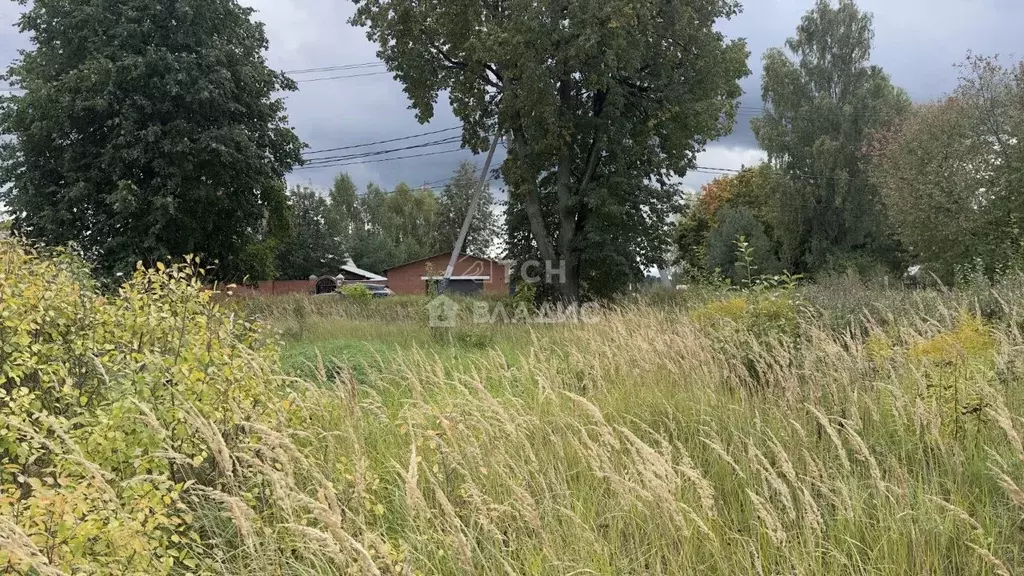 Участок в Московская область, Богородский городской округ, с. ... - Фото 2