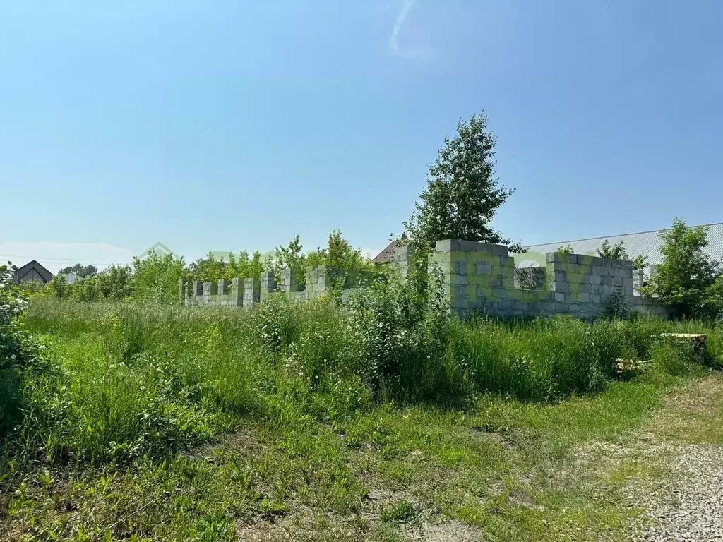 Участок в Новосибирская область, Новосибирск Тулинское заречье кп, 129 ... - Фото 1