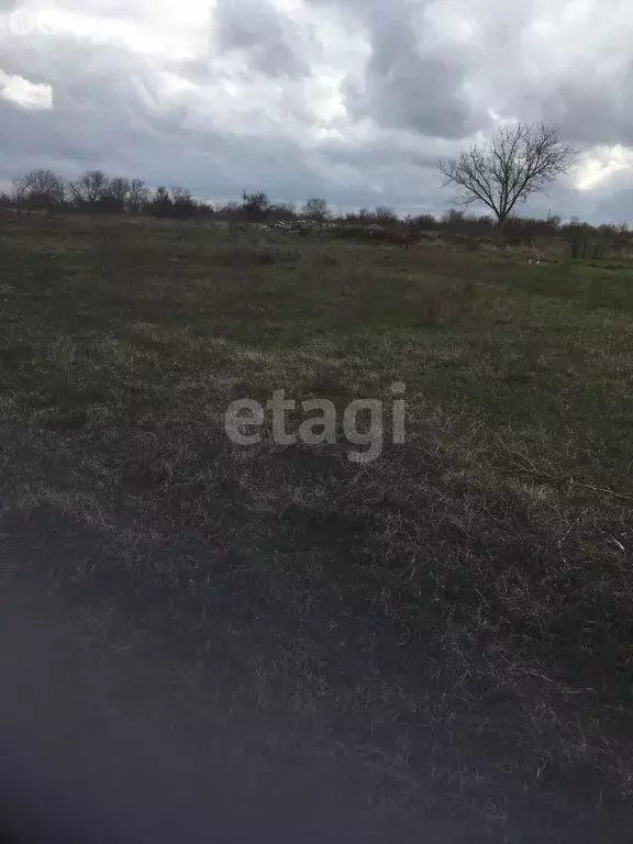 Участок в Красногвардейский район, село Восход (20 м) - Фото 1