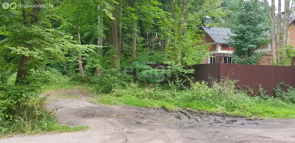 Участок в Калининградская область, Балтийск (5 м) - Фото 1