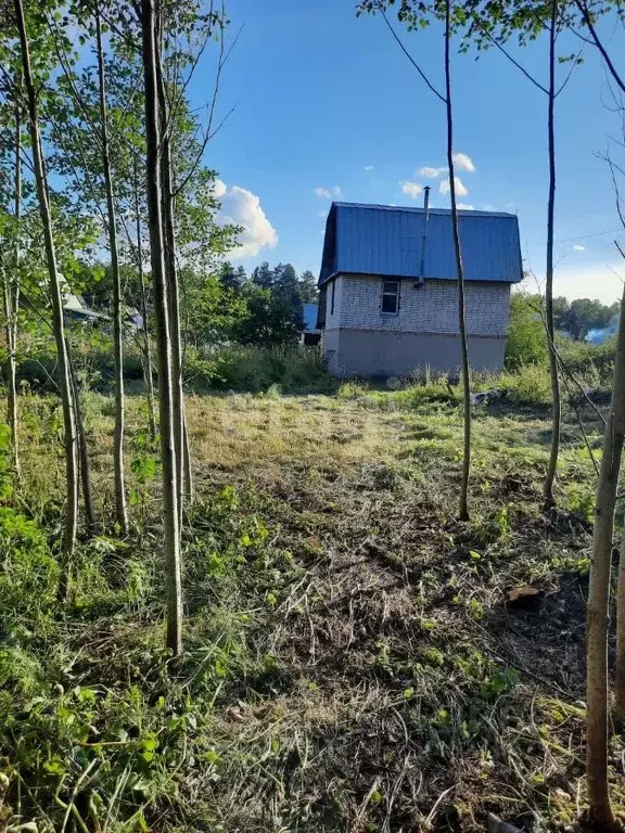 Дом в Вологодская область, Череповецкий район, Ветерок садоводческое ... - Фото 2