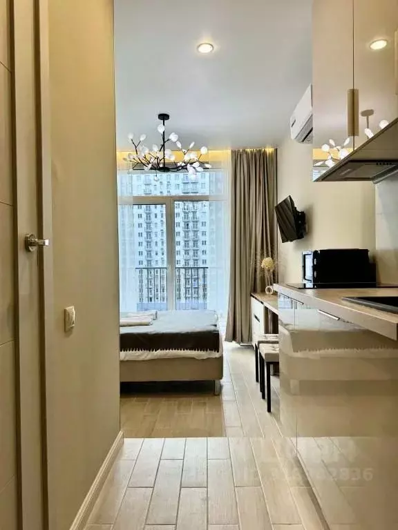 1-к кв. Москва Березовая аллея, 19к2 (20.0 м) - Фото 1