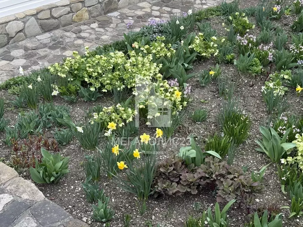Участок в Краснодарский край, Геленджик городской округ, с. Тешебс  ... - Фото 2