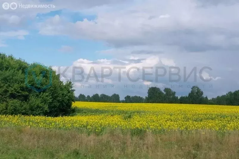 Участок в Любинский район, село Любино-Малороссы (1000 м) - Фото 0