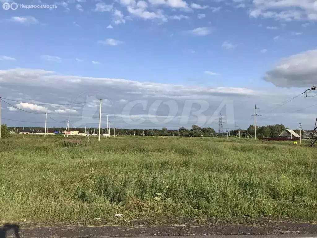 Участок в Тюменская область, Заводоуковск (15 м) - Фото 1