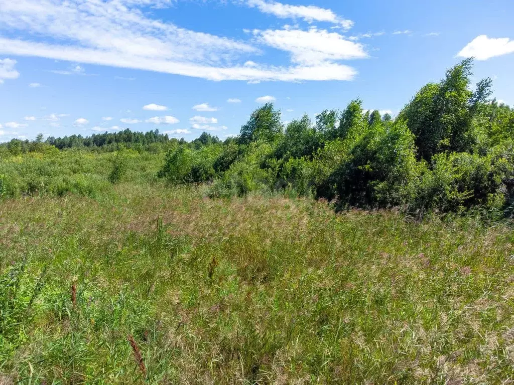 Участок в Тюменская область, Нижнетавдинский муниципальный округ, ... - Фото 0