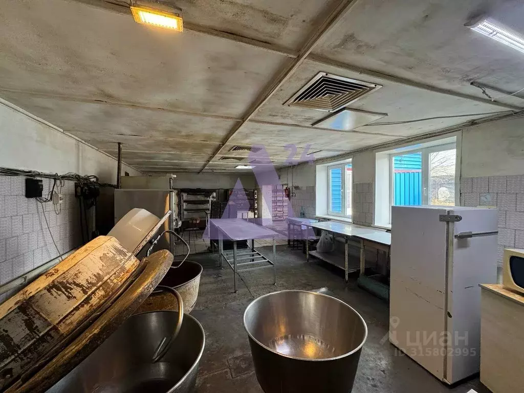 Помещение свободного назначения в Алтайский край, Павловский район, с. ... - Фото 0