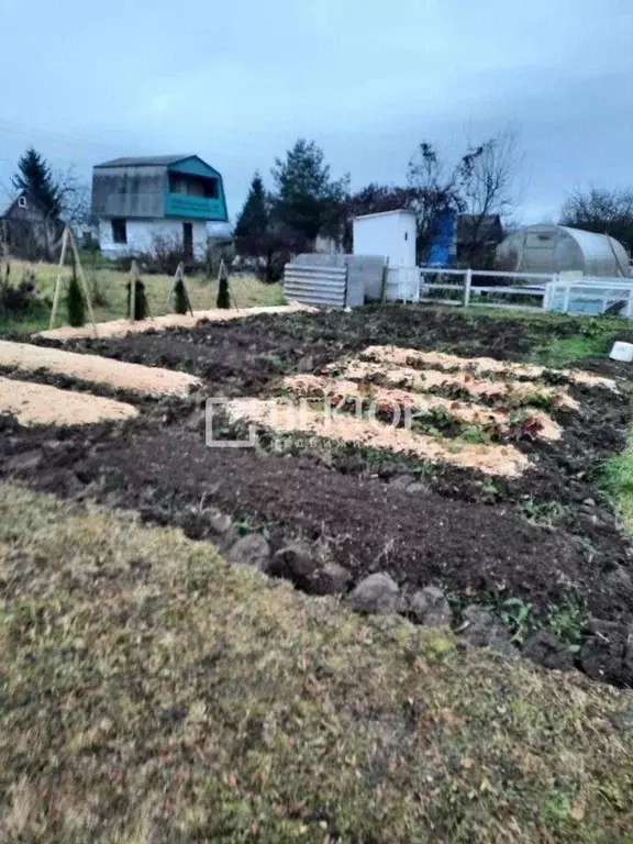 Дом в Костромская область, Костромской район, Бакшеевское с/пос, ... - Фото 2