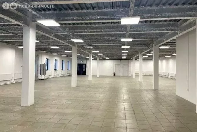 Помещение свободного назначения (528 м) - Фото 0