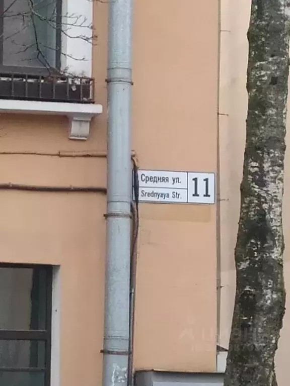 Комната Санкт-Петербург, Санкт-Петербург, Пушкин Средняя ул., 11 (57.4 ... - Фото 1