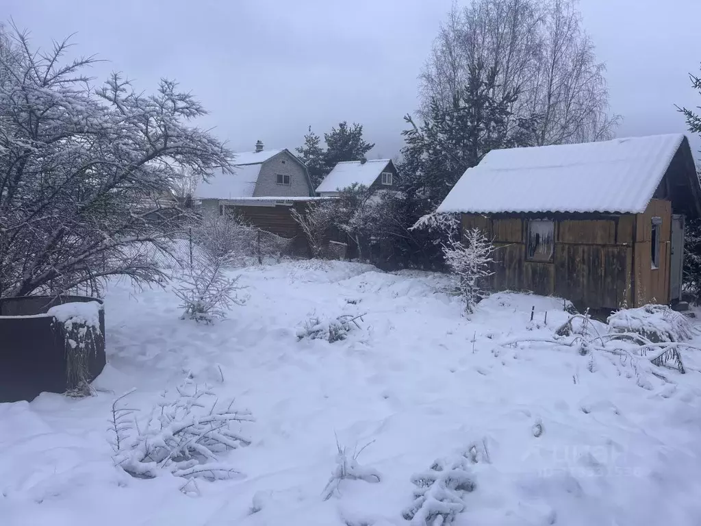 Участок в Ленинградская область, Никольское Тосненский район, Лесное-3 ... - Фото 1