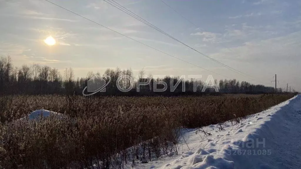 Участок в Тюменская область, Тюмень Ямал СНТ, ул. Ямальская (50.0 ... - Фото 0