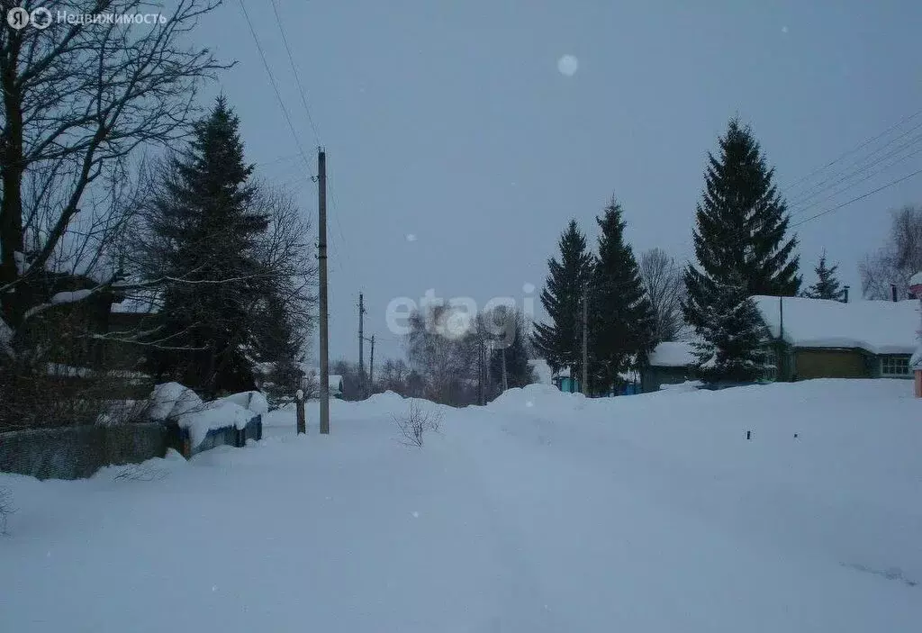 Участок в Нижегородская область, Богородский муниципальный округ, ... - Фото 1