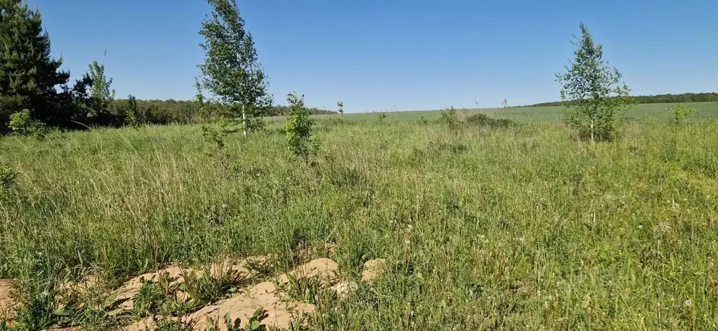 Участок в Московская область, Домодедово городской округ, д. Ведищево  ... - Фото 0