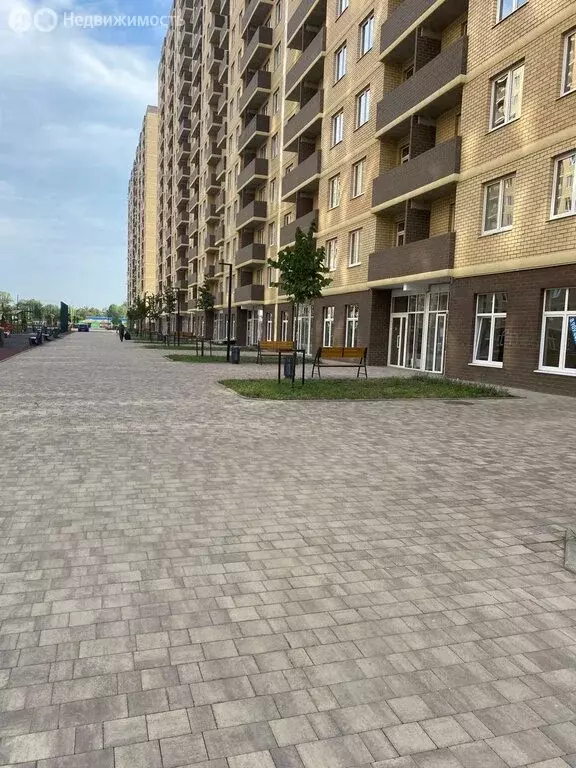 Квартира-студия: Краснодар, улица Лётчика Позднякова, 2к23 (23.7 м) - Фото 1