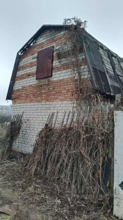 Дом в Рязанская область, Рязань Тополь СТ, ул. Промышленная (44 м) - Фото 2