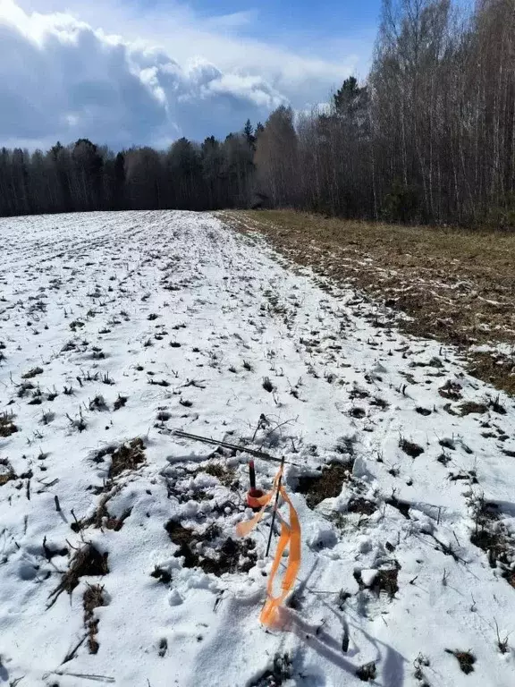 Участок в Томская область, Томский район, с. Кафтанчиково  (500.0 ... - Фото 2
