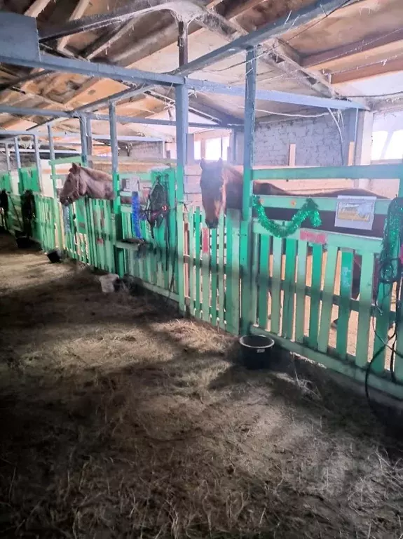 Помещение свободного назначения в Нижегородская область, Нижний ... - Фото 1