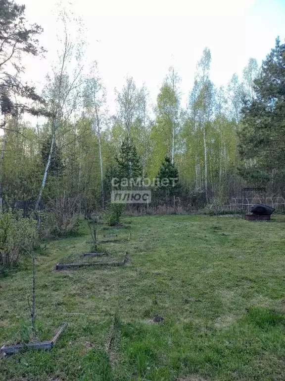 Участок в Московская область, Орехово-Зуевский городской округ, Марс ... - Фото 0