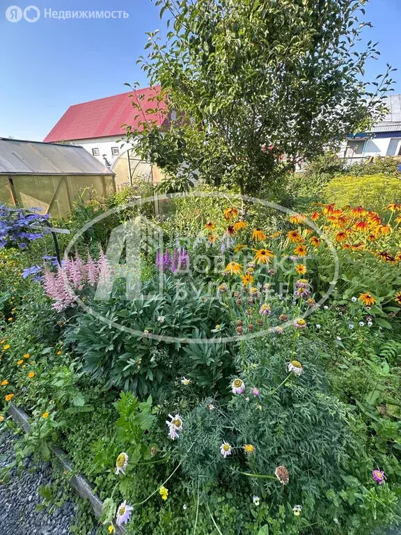 Дом в Добрянка, улица 25 Октября, 9 (28.1 м) - Фото 1