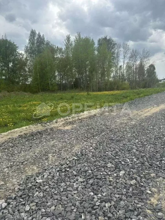 Участок в Тюменская область, Тюменский район Салаирский тракт, 14-й км ... - Фото 1