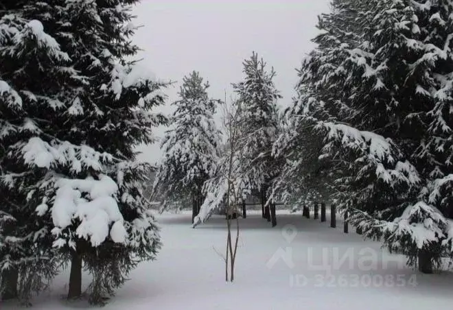 Участок в Московская область, Шаховская муниципальный округ, д. ... - Фото 1