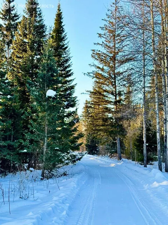 Помещение свободного назначения (2000 м) - Фото 1