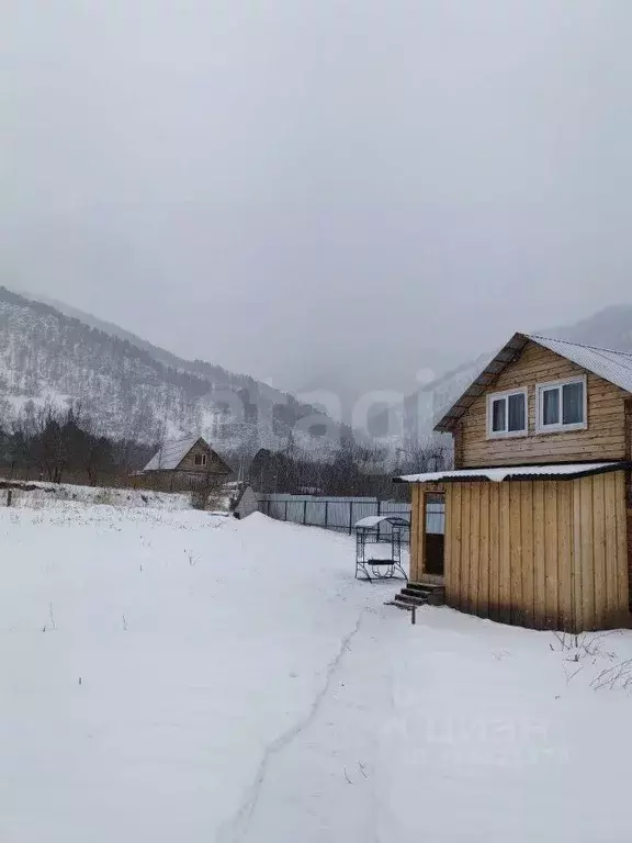 Дом в Алтай, Майминский район, с. Усть-Муны Березовая ул., 21 (53 м) - Фото 1