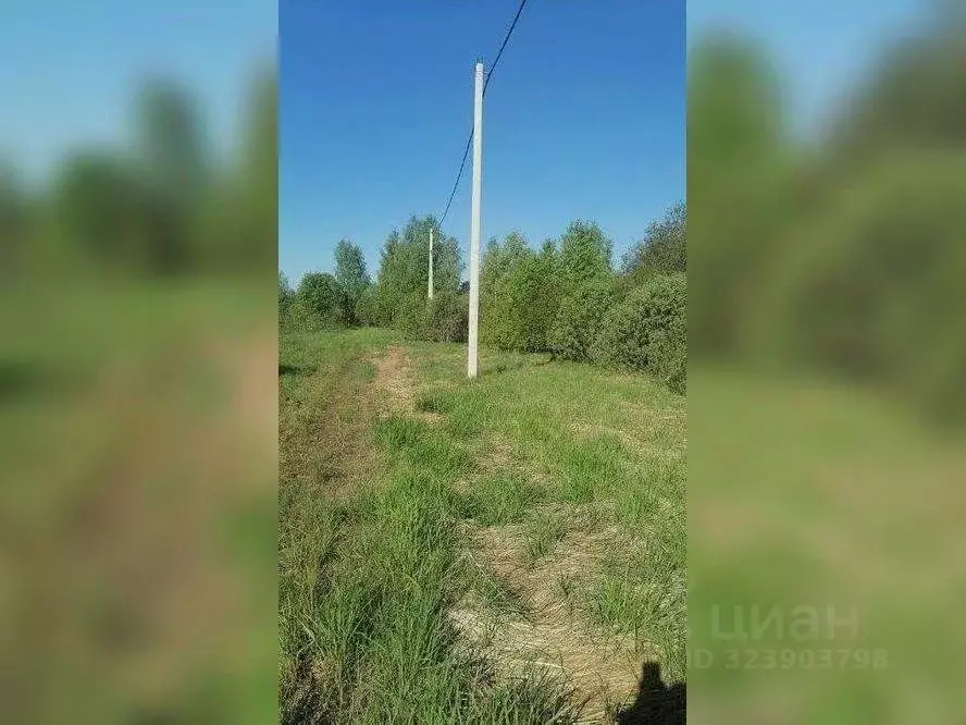 Участок в Московская область, Сергиево-Посадский городской округ, д. ... - Фото 1