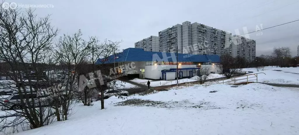 Помещение свободного назначения (161 м) - Фото 1