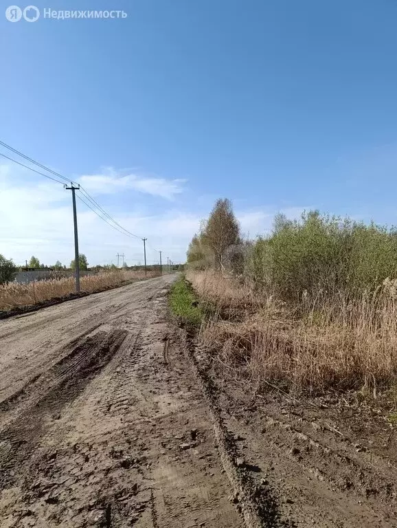 Участок в Тюмень, Центральный округ (40 м) - Фото 2