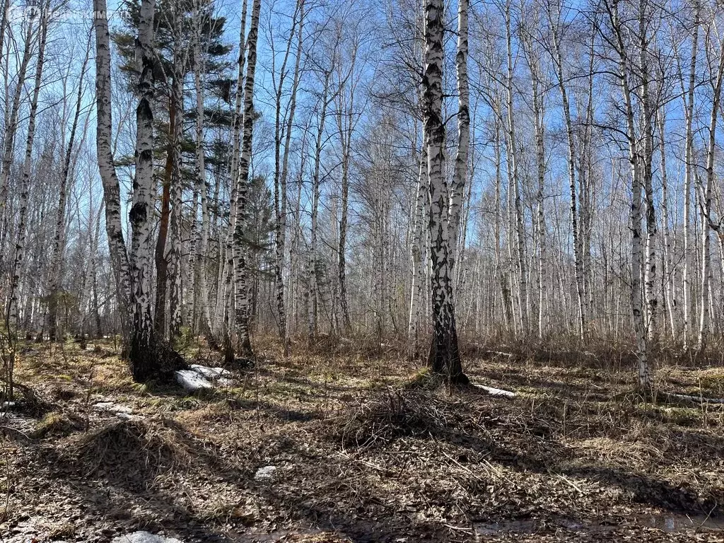 Участок в Иркутск, Байкальский тракт, 8-й километр (5 м) - Фото 1