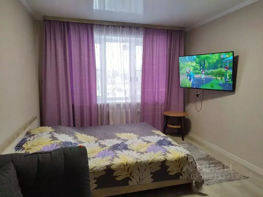 Студия Алтайский край, Белокуриха ул. Соболева, 22 (24.0 м) - Фото 1