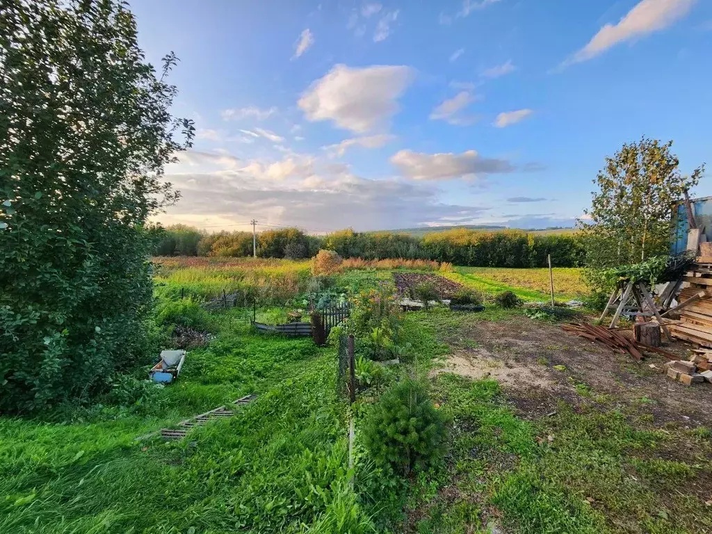 Участок в Кемеровская область, Новокузнецкий муниципальный округ, с. ... - Фото 2