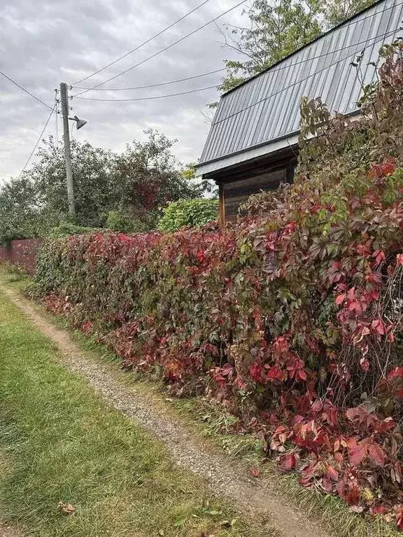 Дом в Брянская область, Брянск Большое Полпино пгт,  (20 м) - Фото 1