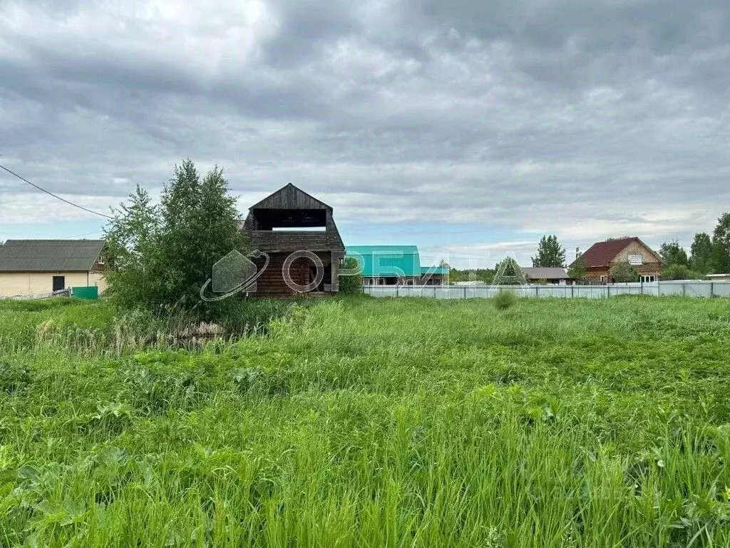 Участок в Тюменская область, Тюмень Садовое товарищество Липовый ... - Фото 2