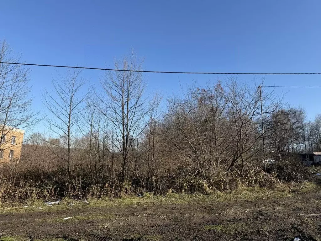 Участок в Северная Осетия, Владикавказ пл. Свободы (4.36 сот.) - Фото 1