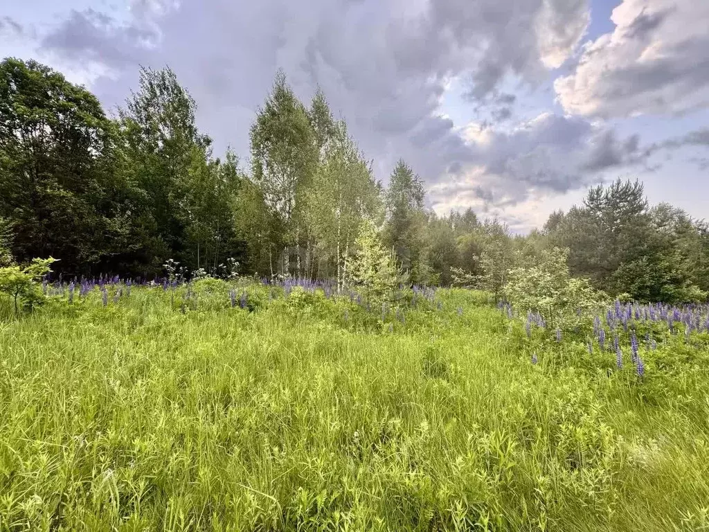 Участок в Смоленская область, Ярцево ул. Рябиновая, 12 (12.0 сот.) - Фото 1