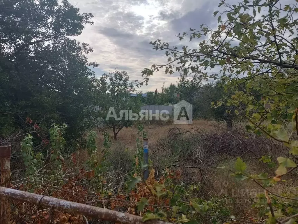 Участок в Ростовская область, Каменск-Шахтинский Ландыш СНТ, ул. ... - Фото 2