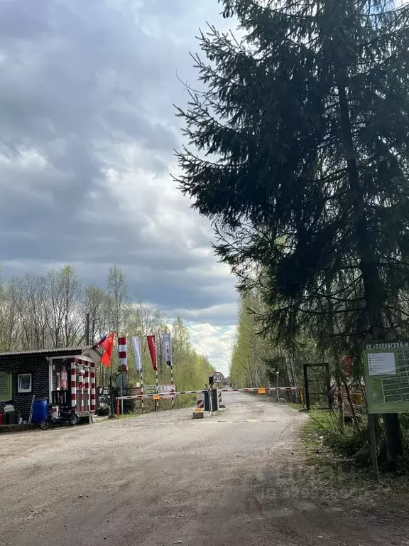 Участок в Ленинградская область, Всеволожский район, Рахьинское ... - Фото 1