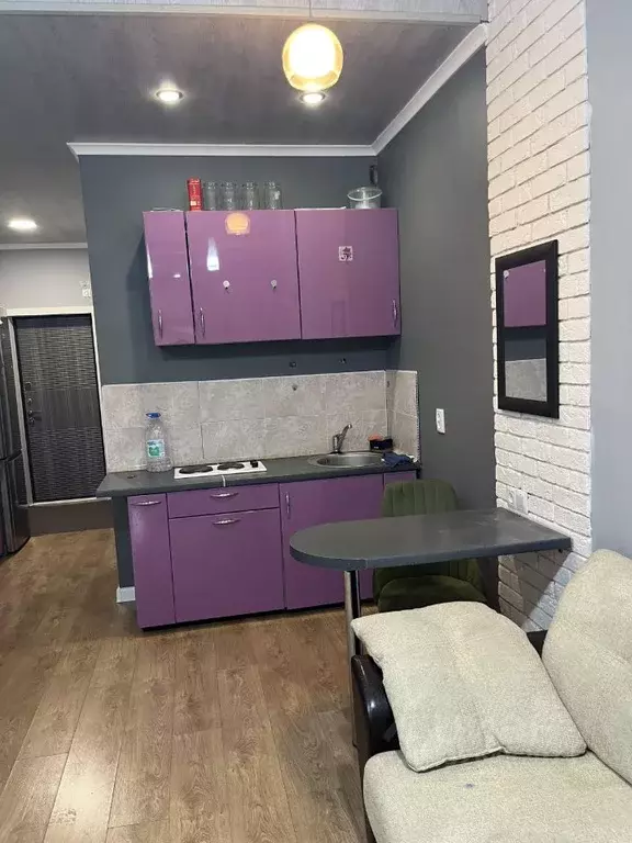 Студия Московская область, Одинцовский городской округ, с. Немчиновка ... - Фото 2