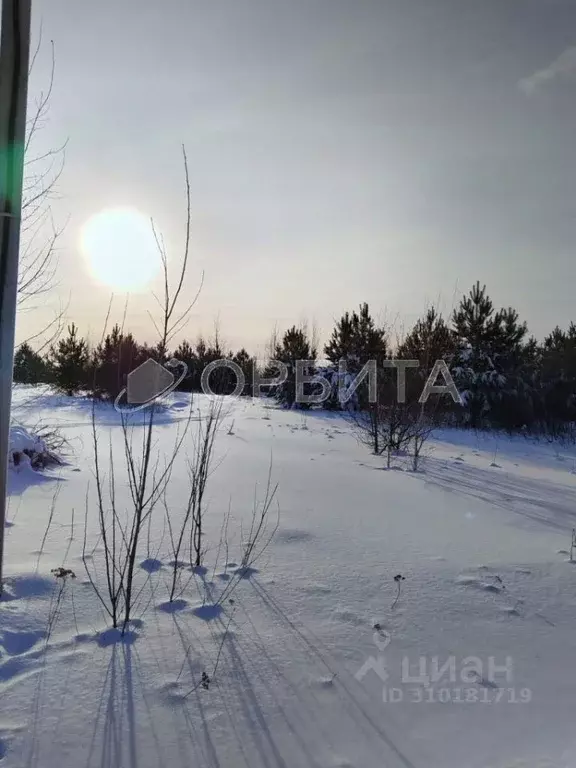 Участок в Тюменская область, Нижнетавдинский район, с. Тюнево  (10.0 ... - Фото 1