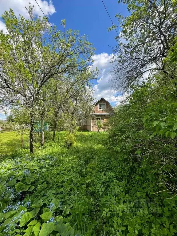 Участок, 8 сот., сельхоз (снт или днп) - Фото 1