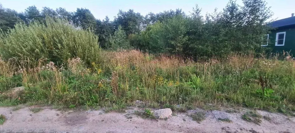 Участок, 10 сот., поселения (ижс) - Фото 2