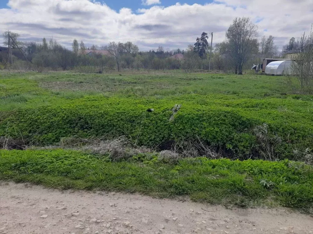 Участок в Ленинградская область, Тосненский район, Рябовское городское ... - Фото 0